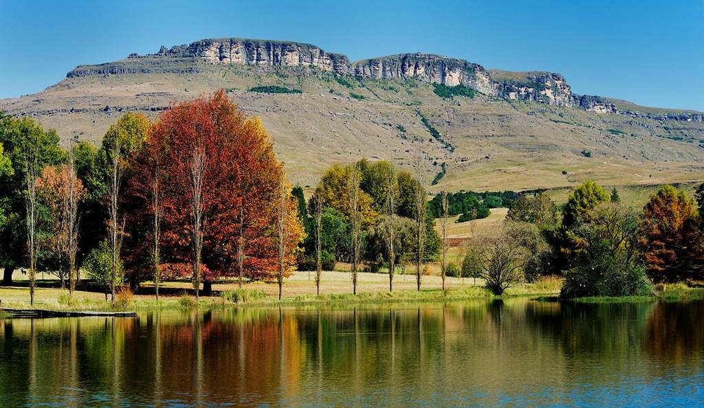 Oribi Gorge