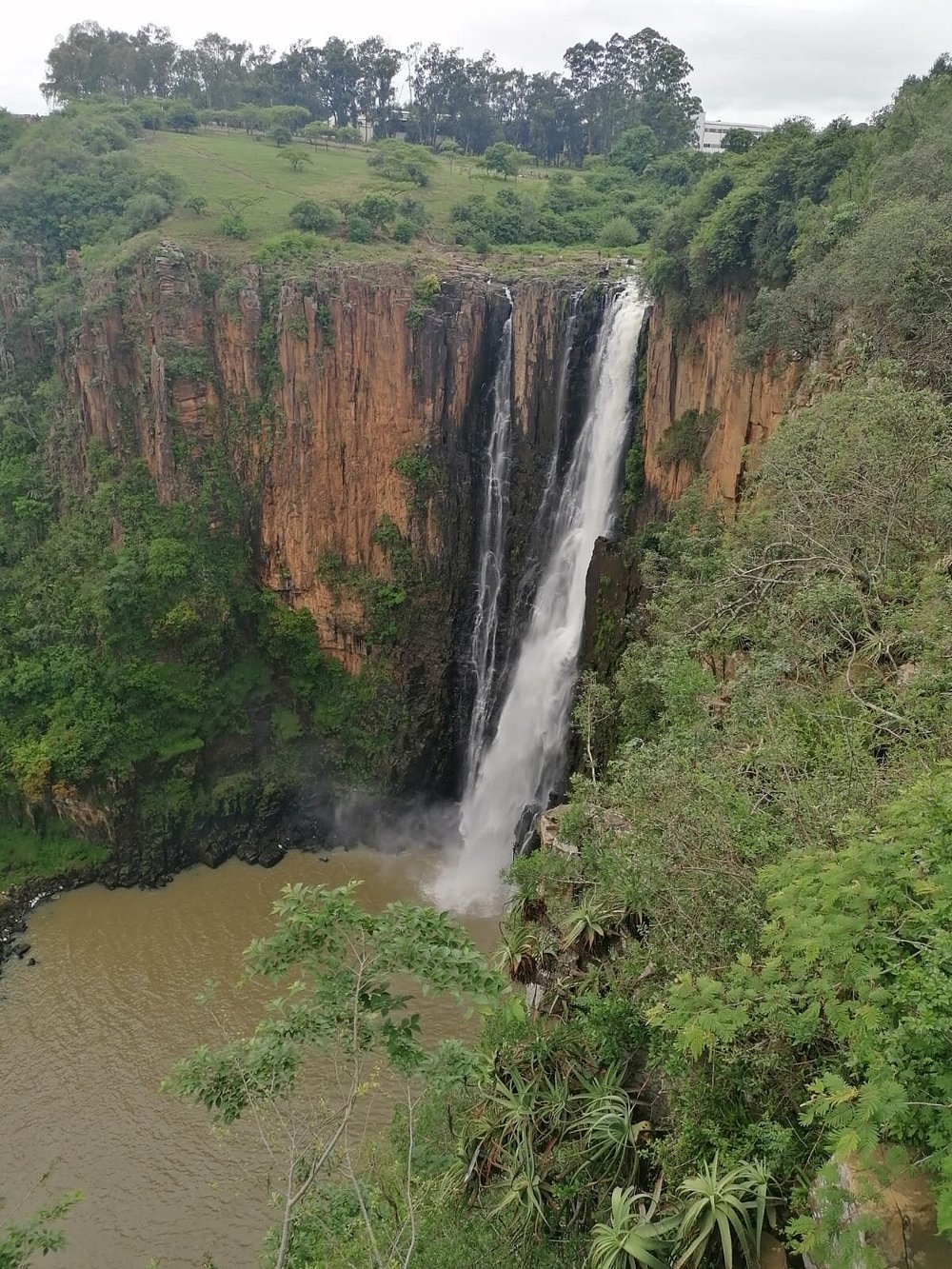 Oribi Gorge