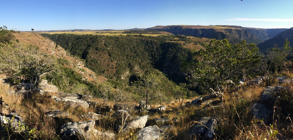 Oribi Gorge