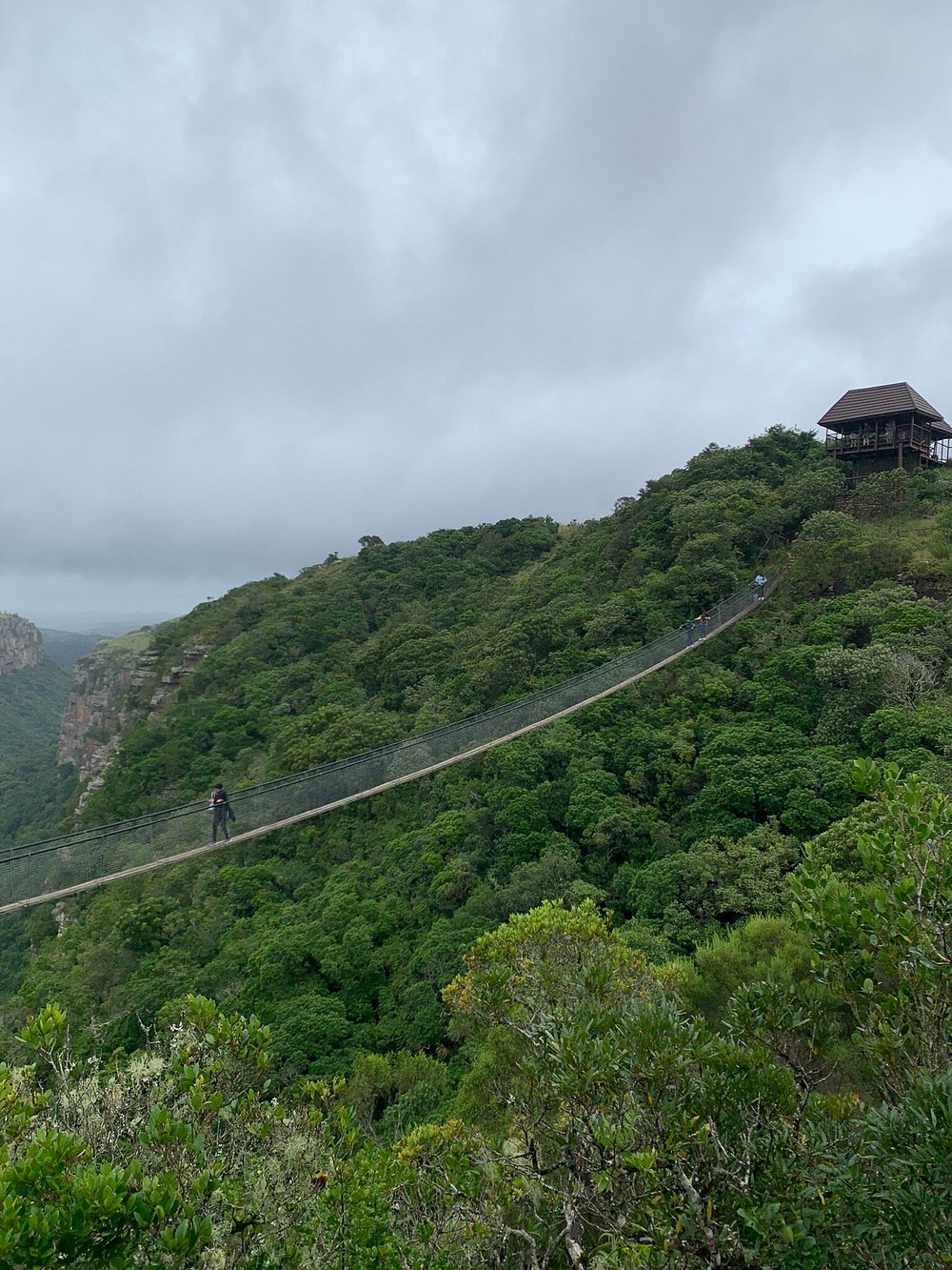 Oribi Gorge