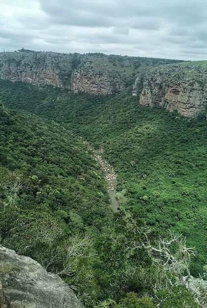 Oribi Gorge