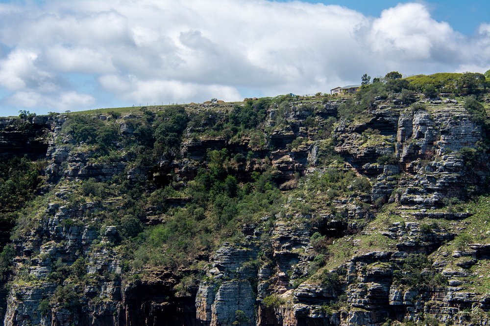 Oribi Gorge