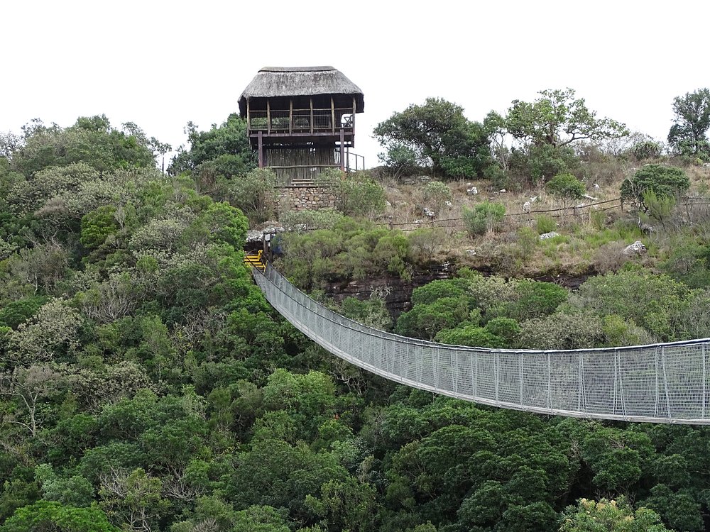 Oribi Gorge
