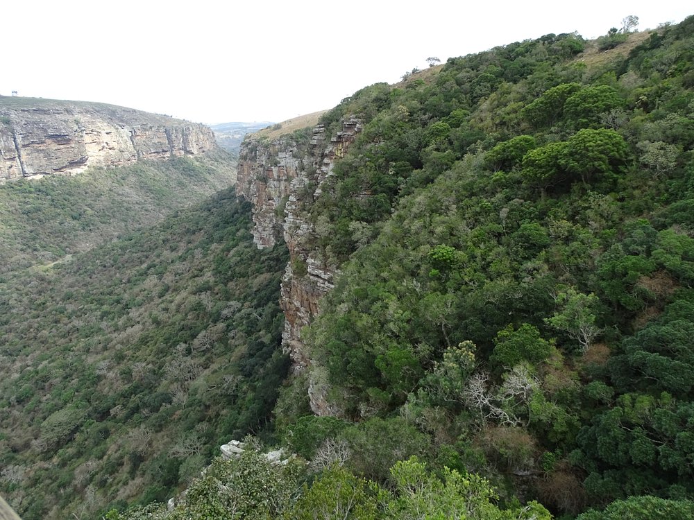 Oribi Gorge