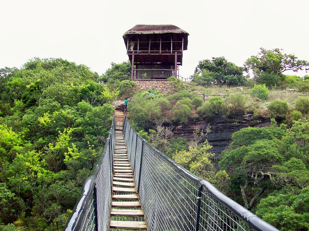 Oribi Gorge