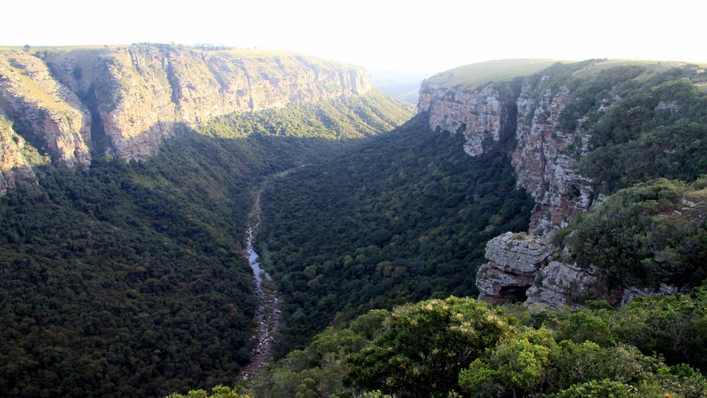 Oribi Gorge